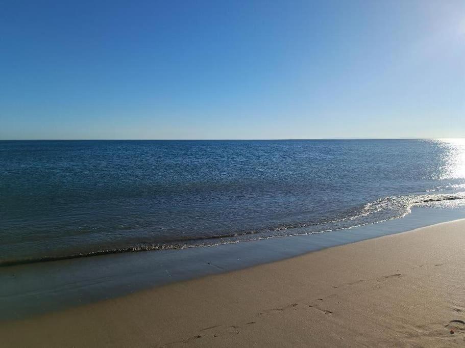 Studio Au Cap D'Agde Dans Les Pinedes 外观 照片