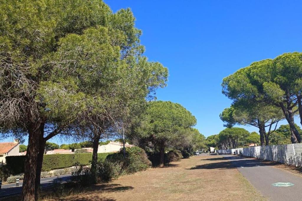 Studio Au Cap D'Agde Dans Les Pinedes 外观 照片