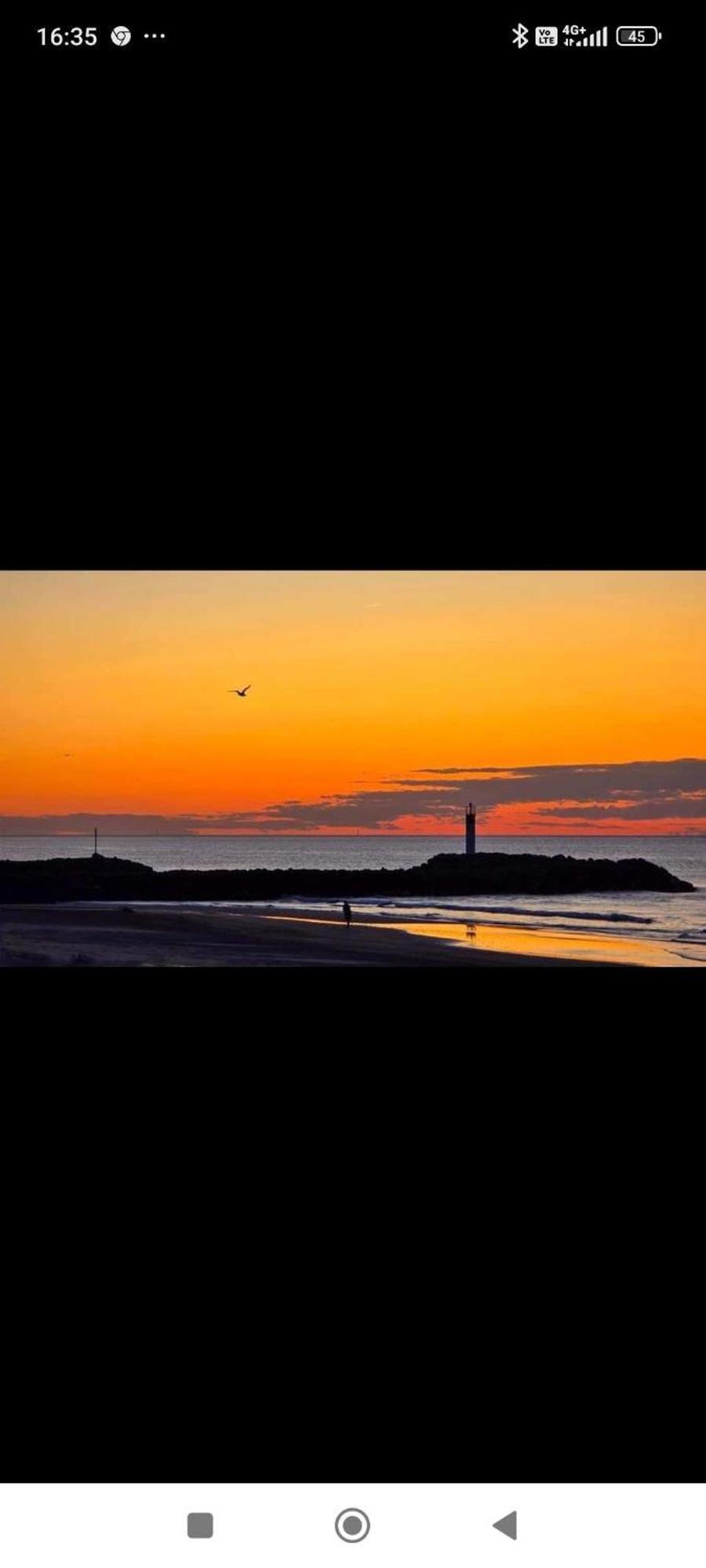 Studio Au Cap D'Agde Dans Les Pinedes 外观 照片