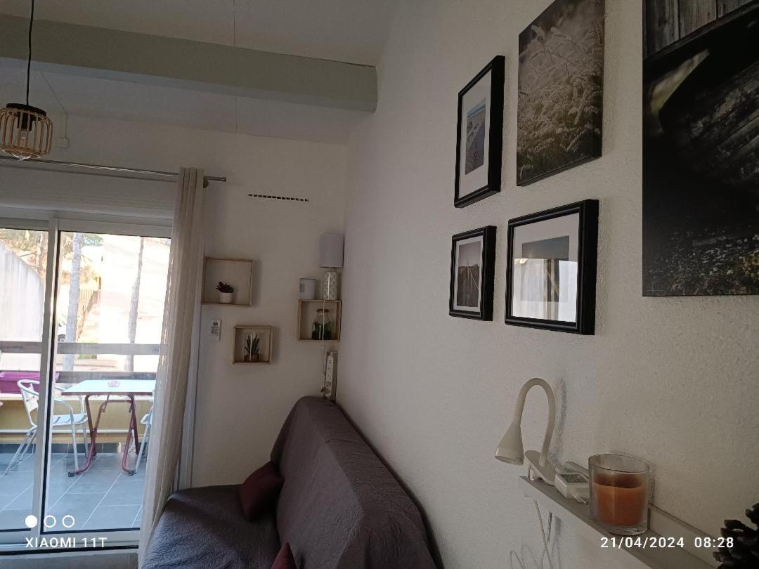 Studio Au Cap D'Agde Dans Les Pinedes 外观 照片